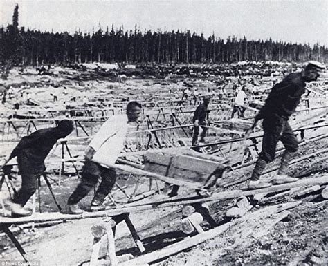 gulag electric boxes|gulag prison population.